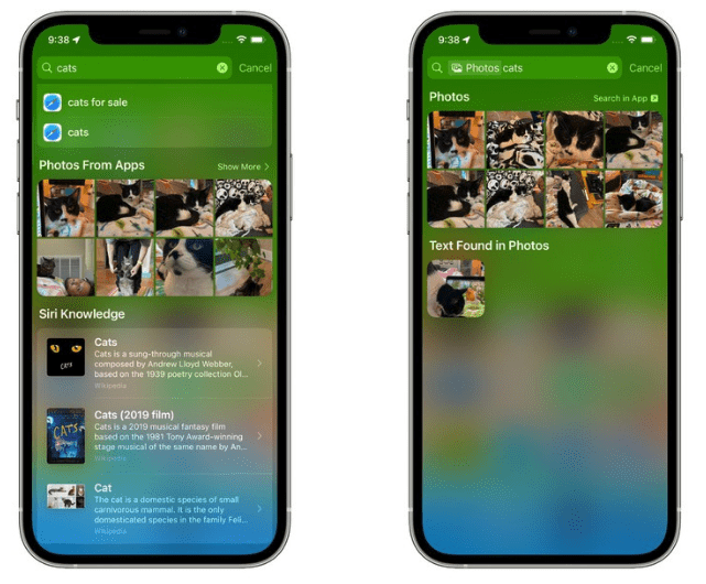 Обзор: что нового в приложении Photos на iOS 15