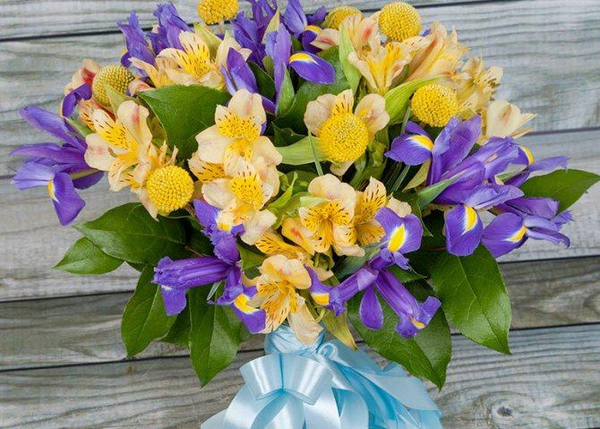 Альстромерия в букетах: особенности цветка и сочетаний с ним