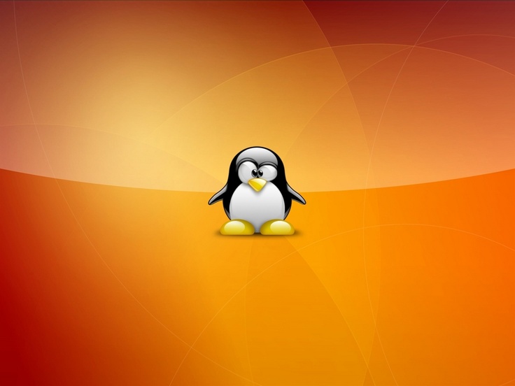 Минобороны Индии переходит с Windows на «клон» Linux Ubuntu ОС Maya OS