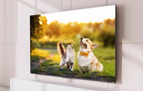 Toshiba сделала 100-дюймовый смарт-телевизор с mini-LED-экраном за 444 тыс. рублей