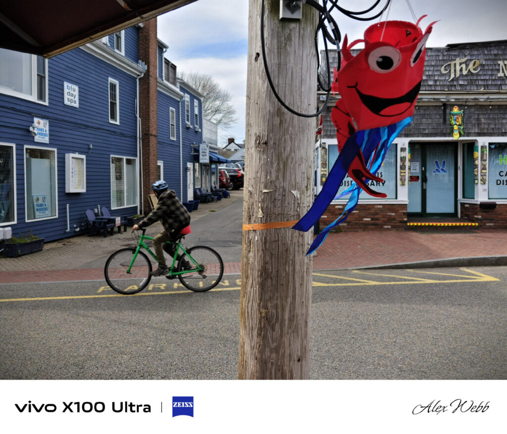 Опубликованы сделанные будущим флагманом Vivo X100 Ultra фотоснимки