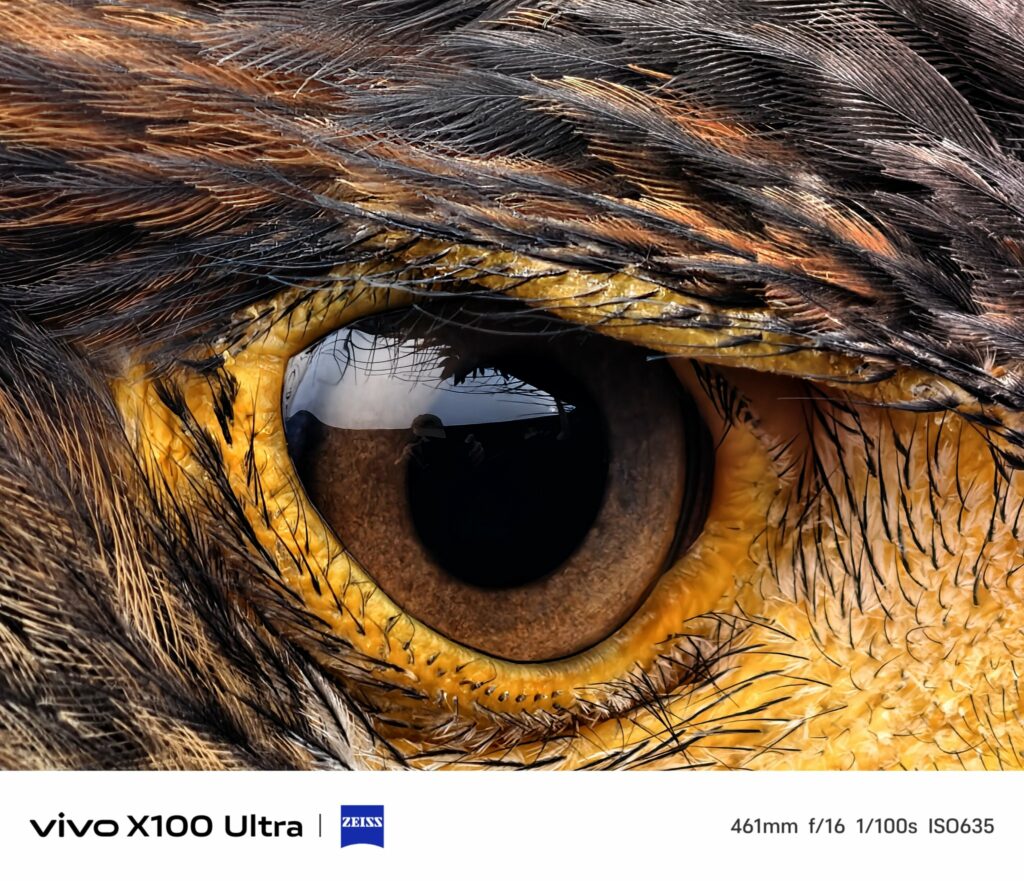 Опубликованы сделанные будущим флагманом Vivo X100 Ultra фотоснимки
