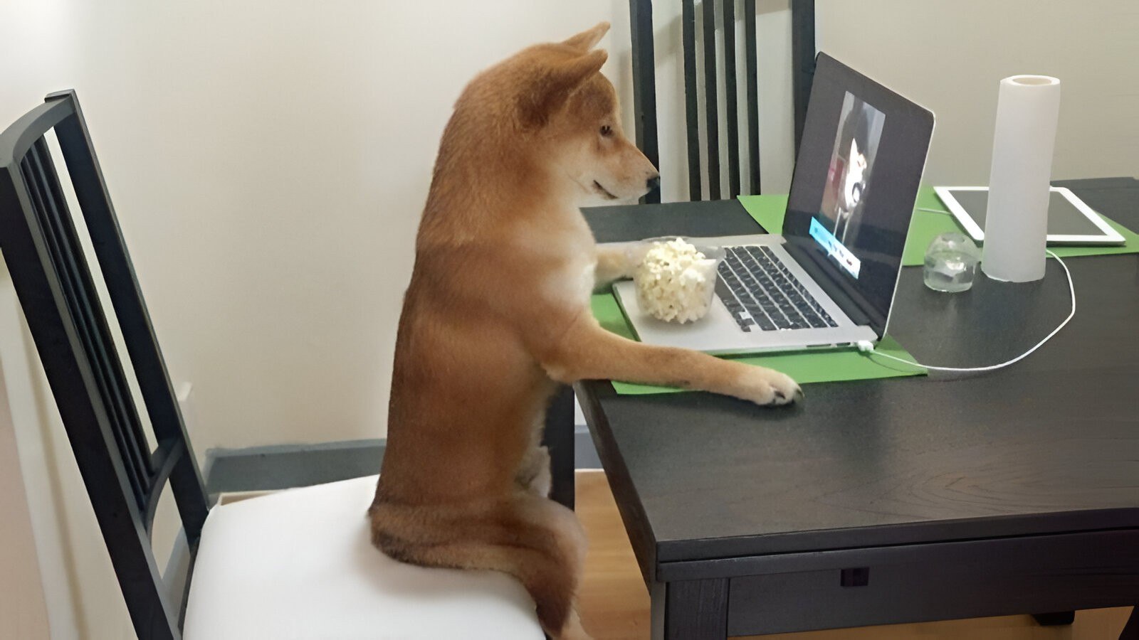 Собака научилась создавать игры и уже выпустила несколько аркад